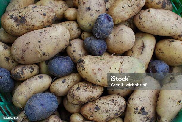 Potatoes Stock Photo - Download Image Now - 2015, Food Staple, Food and Drink