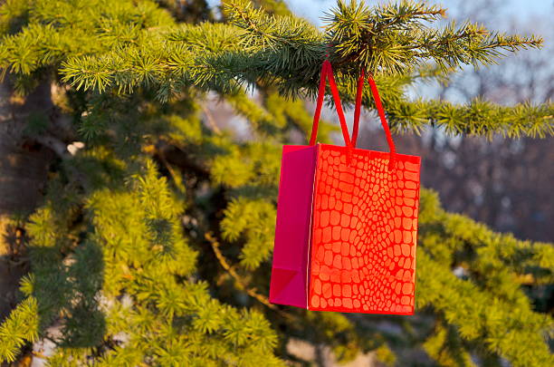 Valentine's day surprise, red paper bag hanging from a fir tree