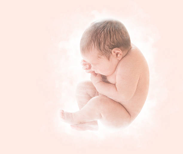 recién nacido bebé recién nacido niños, noveno mes embrión, feto humano - útero humano fotografías e imágenes de stock