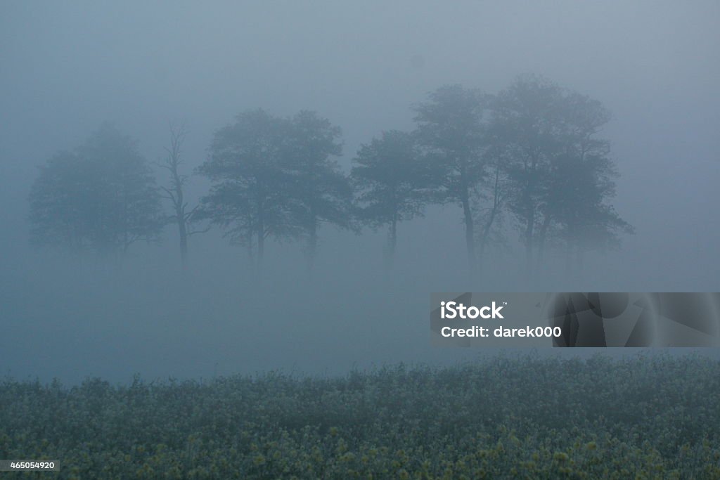 Niebla - Foto de stock de 2015 libre de derechos