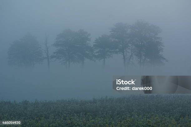 Niebla Foto de stock y más banco de imágenes de 2015 - 2015, Aislado, Amanecer