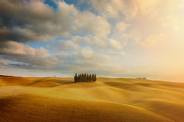 istock Autumn colors on the fields with Cypresses 465056268