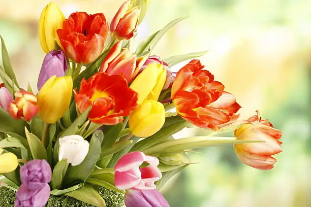 Floralbouquet of colourful tulips