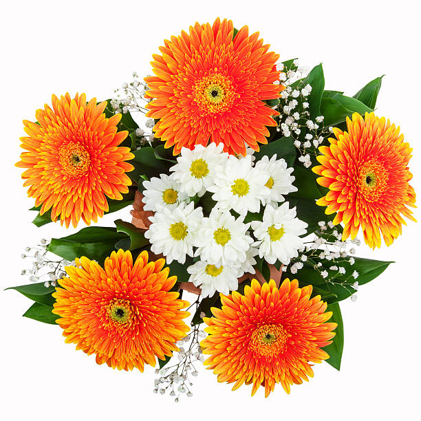 꽃다발 chrysanthemums 및 gerberas - autumn backdrop beautiful flower head 뉴스 사진 이미지