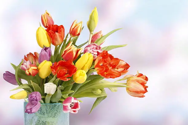 Floralbouquet of colourful tulips