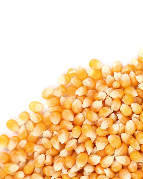 istock Closeup of corn grains. 465059101