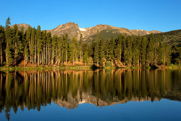 Sprague Lake at Rocky Mountain National Park Hallett Peak reflecting in Sprague Lake at Rocky Mountain National Park in Colorado. The tall pine trees reflecting in the calm waters of Sprague Lake hallett peak stock pictures, royalty-free photos & images
