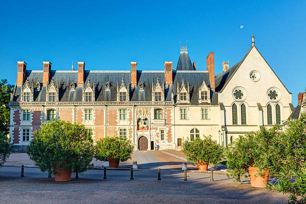 The chateau Royal de Blois, France The chateau Royal de Blois: the facade of the Louis XII wing. This old palace is located in the Loire Valley in the center of the city of Blois, France. blois stock pictures, royalty-free photos & images