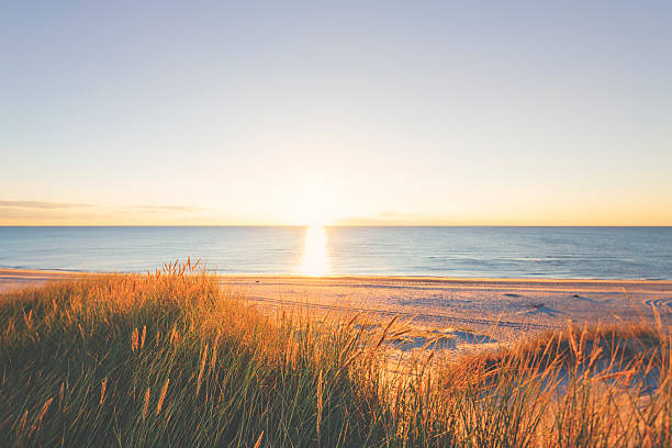 istock Beach by the Northsea in sunset 465060212