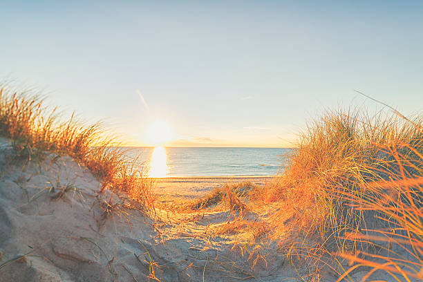 istock Beach by the Northsea 465060216
