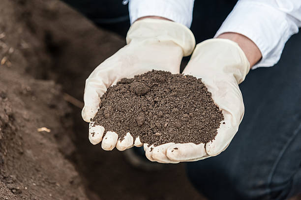 istock Holding soil . Bio food production. 465061174