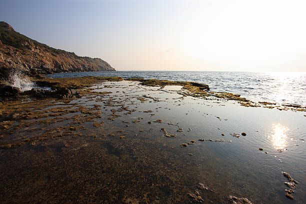 어얼리 아침입니다, 오터 캐이브, 빈 hy, 판랑, 베트남. - phan rang 뉴스 사진 이미지