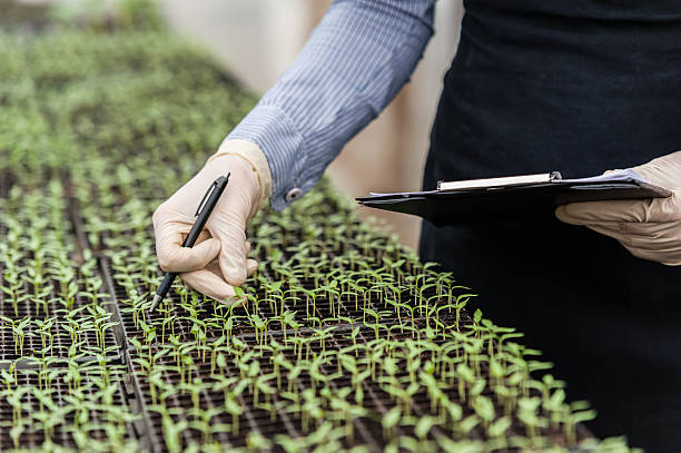 femme ingénieur avec le presse-papier et un stylo - agriculture greenhouse research science photos et images de collection