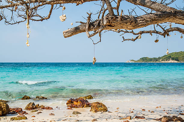 istock pattaya beach in Koh Larn 465063902