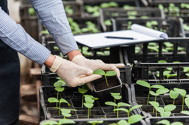 istock Engineer with clipboard and pen examining a plant leaf 465064584