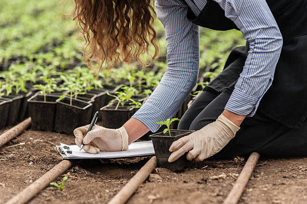 istock A female biotech engineer recording plant samples 465064590