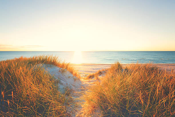 istock Beach by the Northsea 465065476