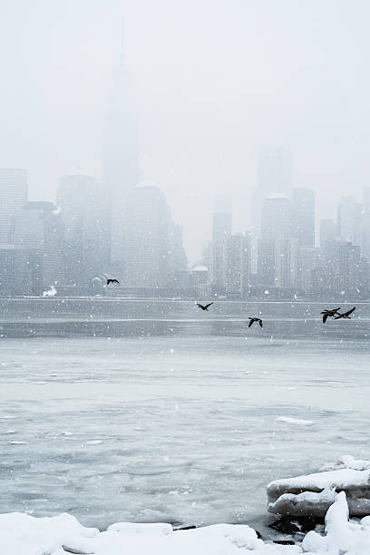 New York downtown skyline in winter New York downtown skyline in winter liberty tower stock pictures, royalty-free photos & images