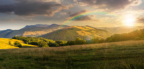istock meadow in high mountains at sunset 465066486