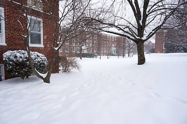 istock Five Inches of Snow 465066580