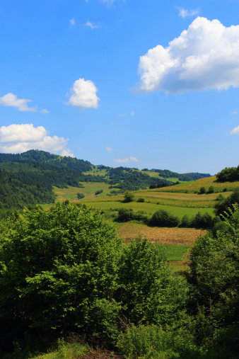 Summer in Mountains. Pieniny, Slovakia.