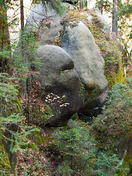 istock Adrspach - Rock City 465067483