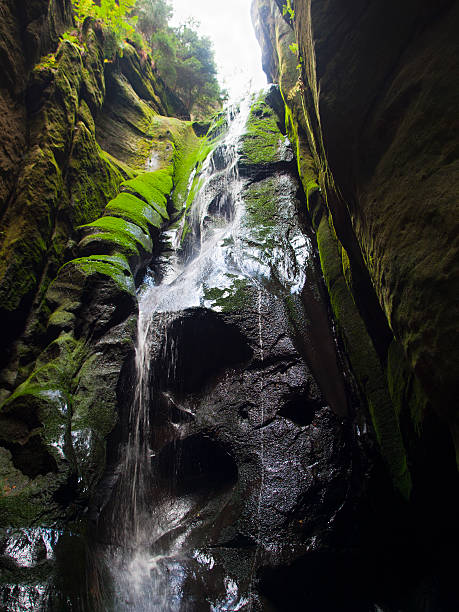istock Adrspach - Rock City 465067509