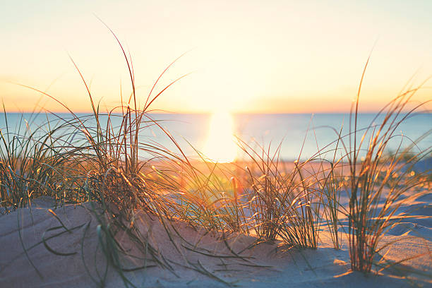 istock Beach by the Northsea in sunset 465068170