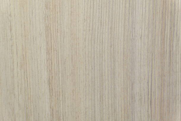 istock wood texture material good detail render in 3dmax or other 465068344