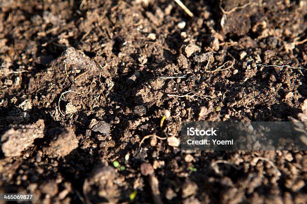 Fondo De Suelo Foto de stock y más banco de imágenes de Abstracto - Abstracto, Agricultura, Antihigiénico