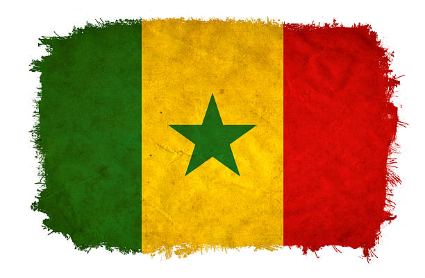 다카르발 그런지 플래깅 - flag of senegal 뉴스 사진 이미지