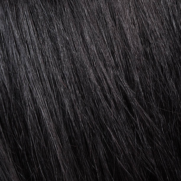 istock beautiful shine black hair background and texture 465070928