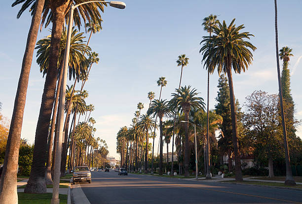 istock Beverly Hills street 465071044