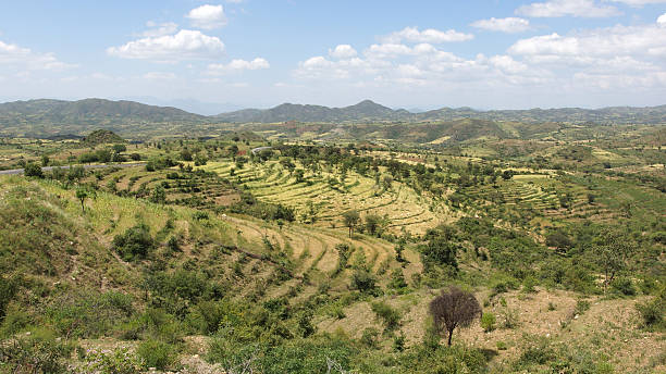 istock Konso, Ethiopia, Africa 465075966