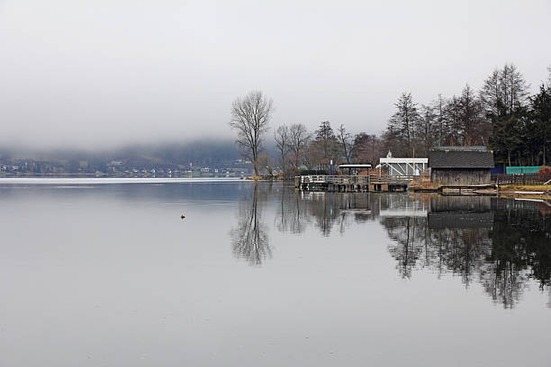 istock Foggy day at the lake 465076067