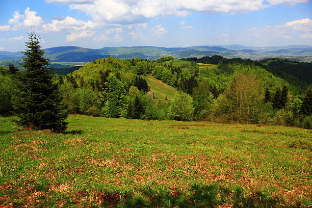 Mountain Landscape in May. Beskid, Poland. Mountain Landscape in May. Beskid, Poland. beskid mountains photos stock pictures, royalty-free photos & images