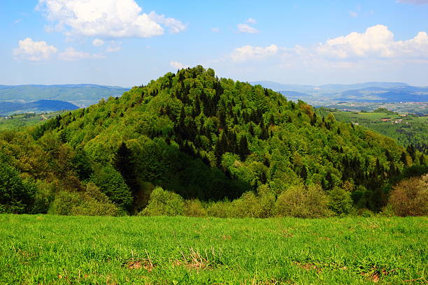 Mountain Landscape in May. Beskid, Poland.