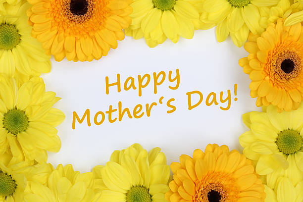 istock Flowers Chrysanthemums on mothers day 465077834