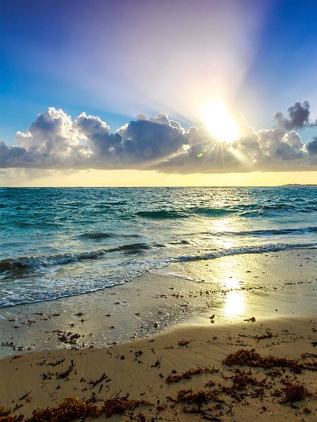 Beautiful morning on the caribbean beach in Dominican Republic