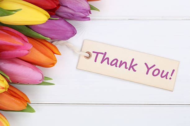 istock Thank You with tulips flowers 465079902