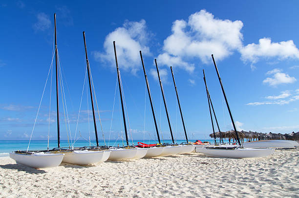 istock Row of catamarans on white sandy beach 465083164
