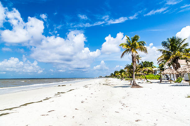 spiaggia di fort myers in america - fort myers foto e immagini stock