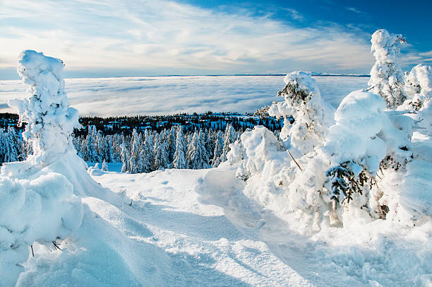o inverno - snowbord - fotografias e filmes do acervo