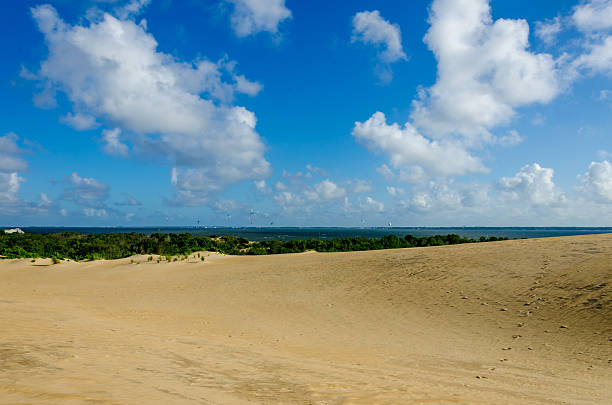 istock Sand Dunes at Outer Banks, North Carolina 465085304