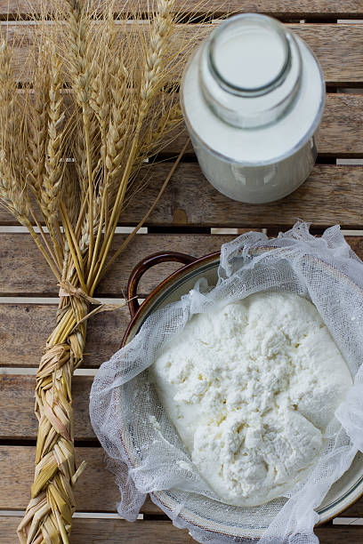 istock Fresh homemade cottage cheese 465087381