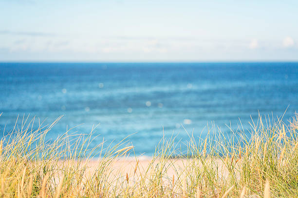 istock Beach by the North Sea 465087890