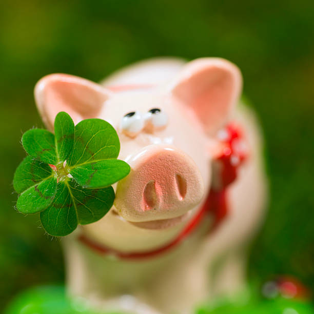 istock Lucky charm pig, figurine with cloverleaf 465088802