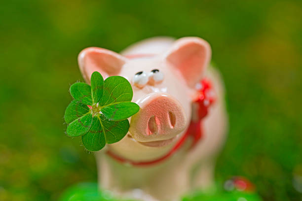 istock Lucky charm pig, figurine with cloverleaf 465088804
