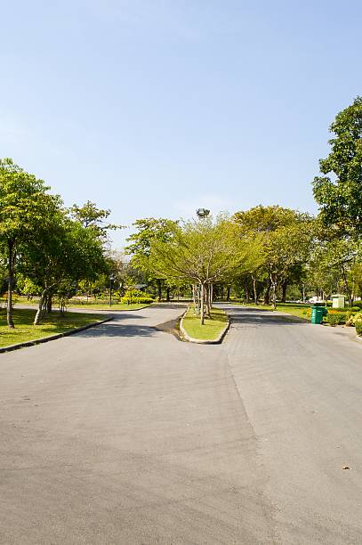 istock road in nature garden 465089116