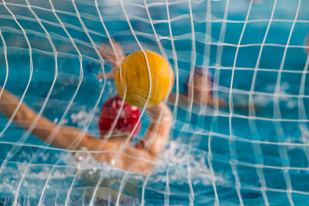 Water Polo Goalie, Goal water polo cap stock pictures, royalty-free photos & images